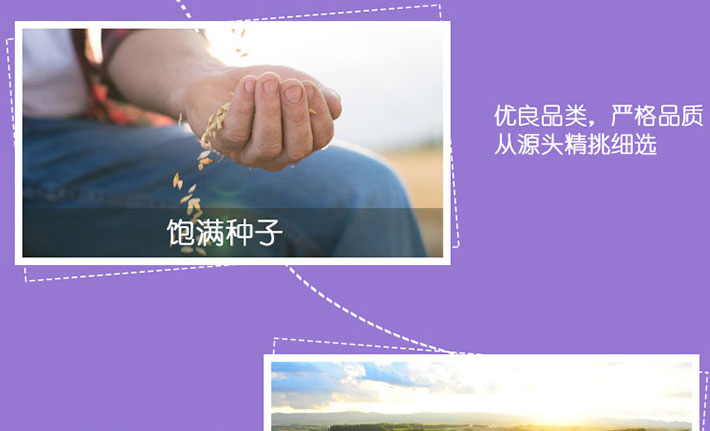 澳洲 Bubs 贝儿